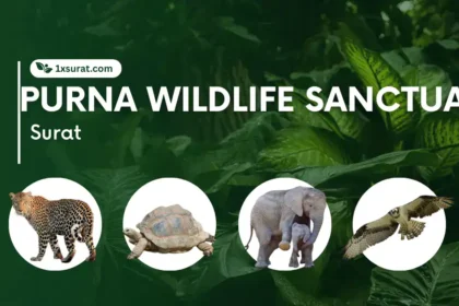 PURNA WILDLIFE SANCTUARY SURAT