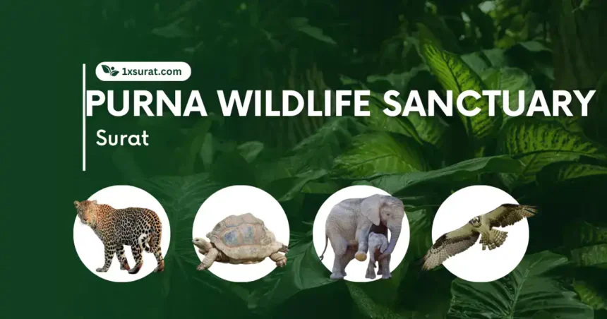 PURNA WILDLIFE SANCTUARY SURAT